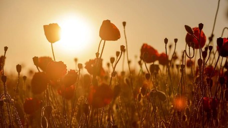 Народные приметы на 16 июля: что можно и нельзя делать