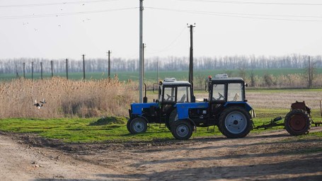 Народные приметы на 26 апреля: что можно и нельзя делать