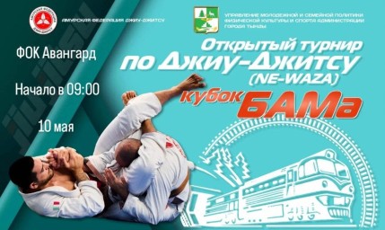 Открытый турнир по Джиу-Джитсу