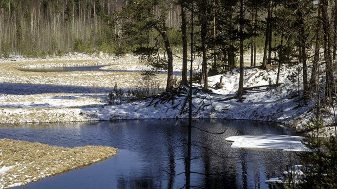 Особый праздник 22 ноября — Матрена Зимняя: история, традиции, приметы Особый праздник 22 ноября — Матрена Зимняя: история, традиции, приметы