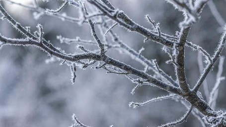 Народные приметы на 28 ноября: что можно и нельзя делать