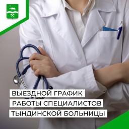 График выездов врачей в Тындинском округе (январь 2026)