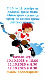 ТУРНИР ПО ХОККЕЮ СРЕДИ ДЕТСКИХ КОМАНД. ТУРНИР ПО ХОККЕЮ СРЕДИ ДЕТСКИХ КОМАНД.