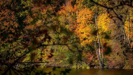Народные приметы на 28 октября: что можно и нельзя делать