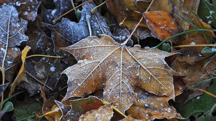 Народные приметы на 1 ноября: что можно и нельзя делать Народные приметы на 1 ноября: что можно и нельзя делать