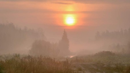 Особый праздник 25 июня &mdash; Петр Солнцеворот: история, традиции и приметы