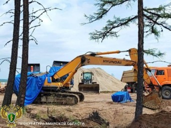 Золотодобытчики в Тынде заплатят штраф за захват земли