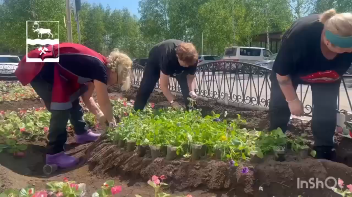 От Снега до Цветов: Весеннее Чудо Тындинского Округа От Снега до Цветов: Весеннее Чудо Тындинского Округа