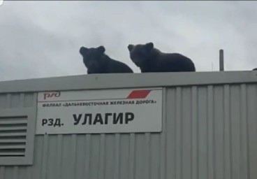 История разъезда Улагир: От забвения к новой жизни