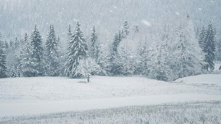Народные приметы на 17 февраля: что можно и нельзя делать