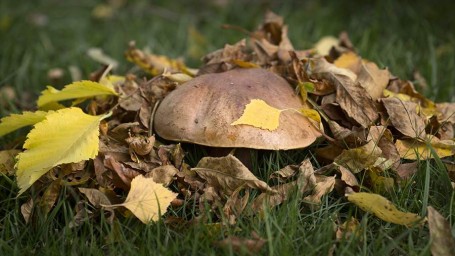 Народные приметы на 7 сентября: что можно и нельзя делать