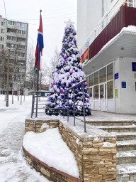 Праздник как точка: Размышления Надежды Требушевской