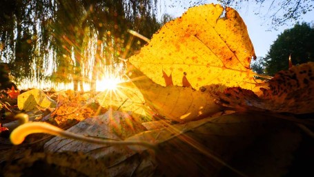 Народные приметы на 27 сентября: что можно и нельзя делать