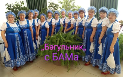 "Разноцветье народных талантов": Тында покоряет зрителей на Амурской земле