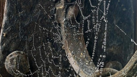 Особый праздник 1 ноября — Иванов день, Проводы осени: история, традиции, приметы