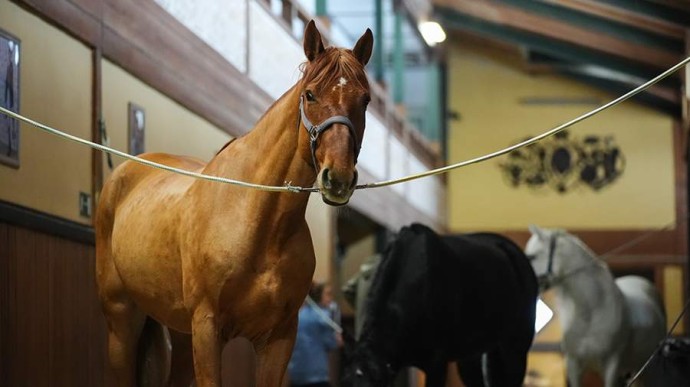 Народные приметы на 25 марта: что можно и нельзя делать Народные приметы на 25 марта: что можно и нельзя делать