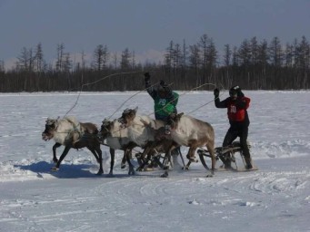 В пяти селах Амурской области отметят День оленевода и охотника