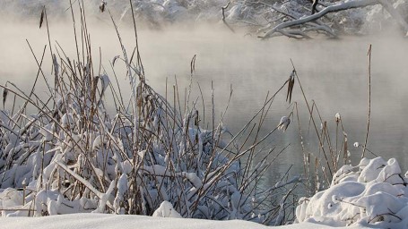 Народные приметы на 12 декабря: что можно и нельзя делать