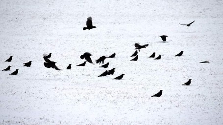 Особый праздник 27 декабря &mdash; Филимонов день: история, традиции, приметы