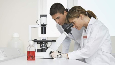 8 февраля &mdash; День российской науки: история, традиции, поздравления