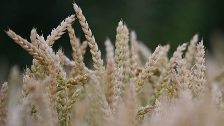 Народные приметы на 6 февраля: что можно и нельзя делать