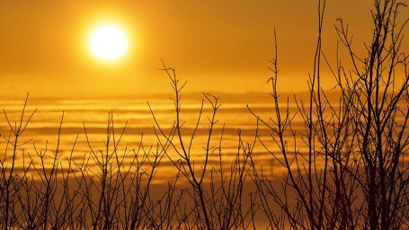 Народные приметы на 15 февраля: что можно и нельзя делать