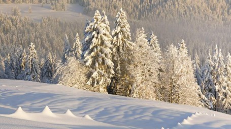 Народные приметы на 19 ноября: что можно и нельзя делать