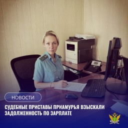 Выплата долга по отпуску после вмешательства приставов