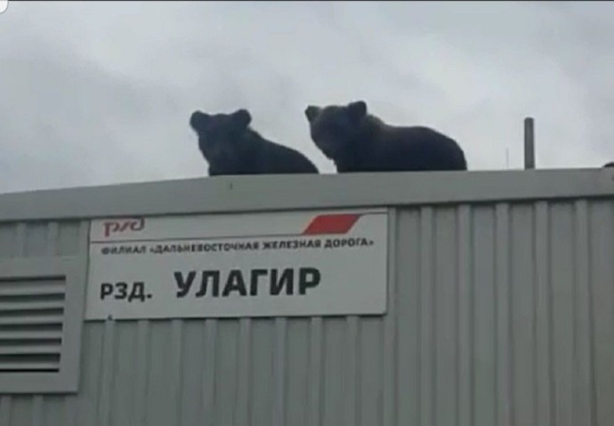 История разъезда Улагир: От забвения к новой жизни История разъезда Улагир: От забвения к новой жизни