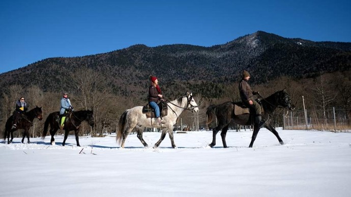 11 января — День заповедников и национальных парков России: история, традиции, поздравления 11 января — День заповедников и национальных парков России: история, традиции, поздравления