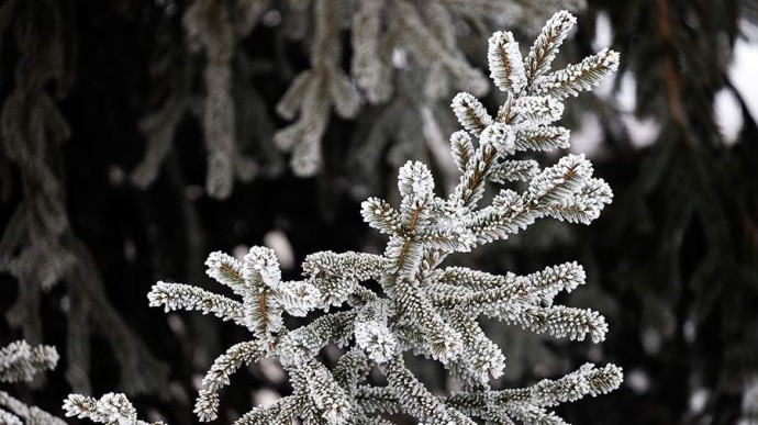 Народные приметы на 16 декабря: что можно и нельзя делать Народные приметы на 16 декабря: что можно и нельзя делать