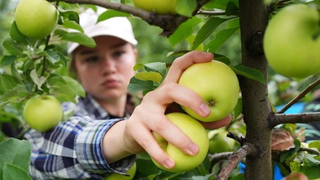 Народные приметы на 30 сентября: что можно и нельзя делать