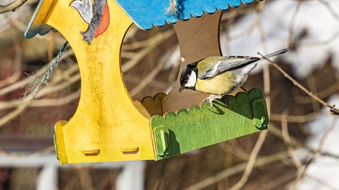 Народные приметы на 12 ноября: что можно и нельзя делать Народные приметы на 12 ноября: что можно и нельзя делать