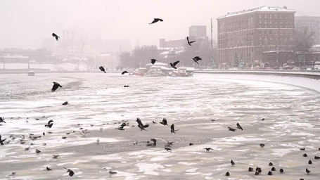 Народные приметы на 13 марта: что можно и нельзя делать