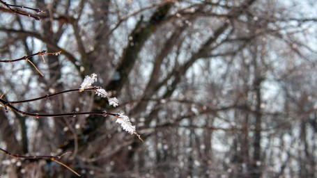 Особый народный праздник 5 марта &mdash; Лев Катыш: история, традиции, приметы
