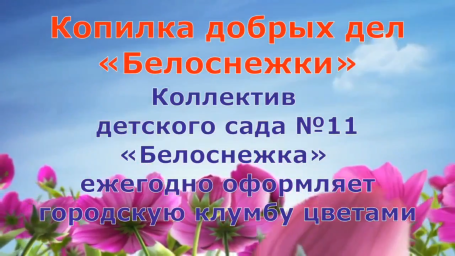 ​Цветочный вклад в красоту города Тынды