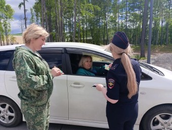 ДНД &laquo;Амур&raquo; и ГИБДД: на страже безопасности