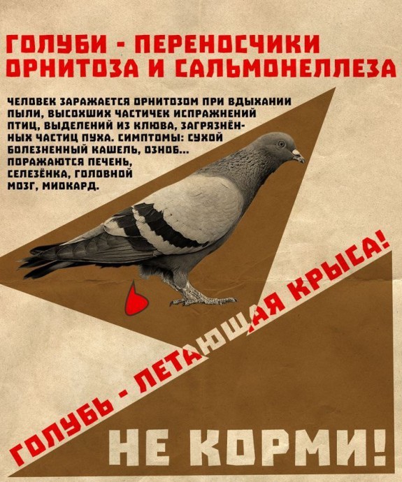 ​НЕ КОРМИТЕ ГОЛУБЕЙ на придомовых территориях