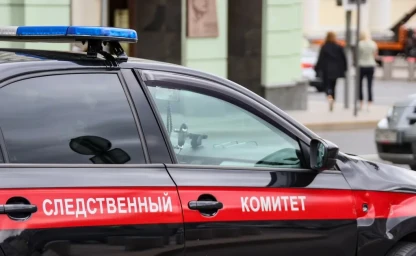 Тындинец предстанет перед судом за смерть отца.